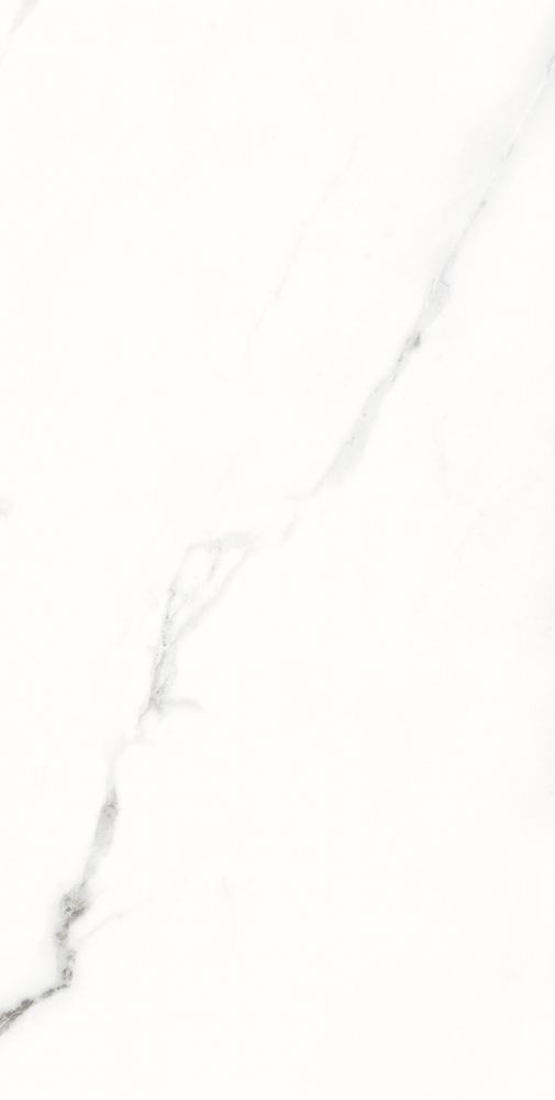 AGL Statuario 12 x 24 porcelain tile comes in a polished finish